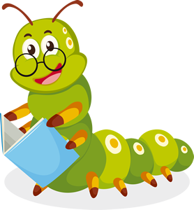 Oruga Curriculum
